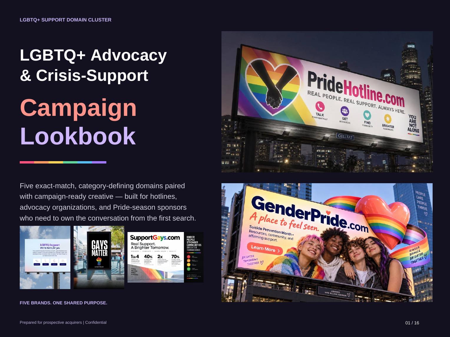 LGBTQ+ Advocacy & Crisis Support cover